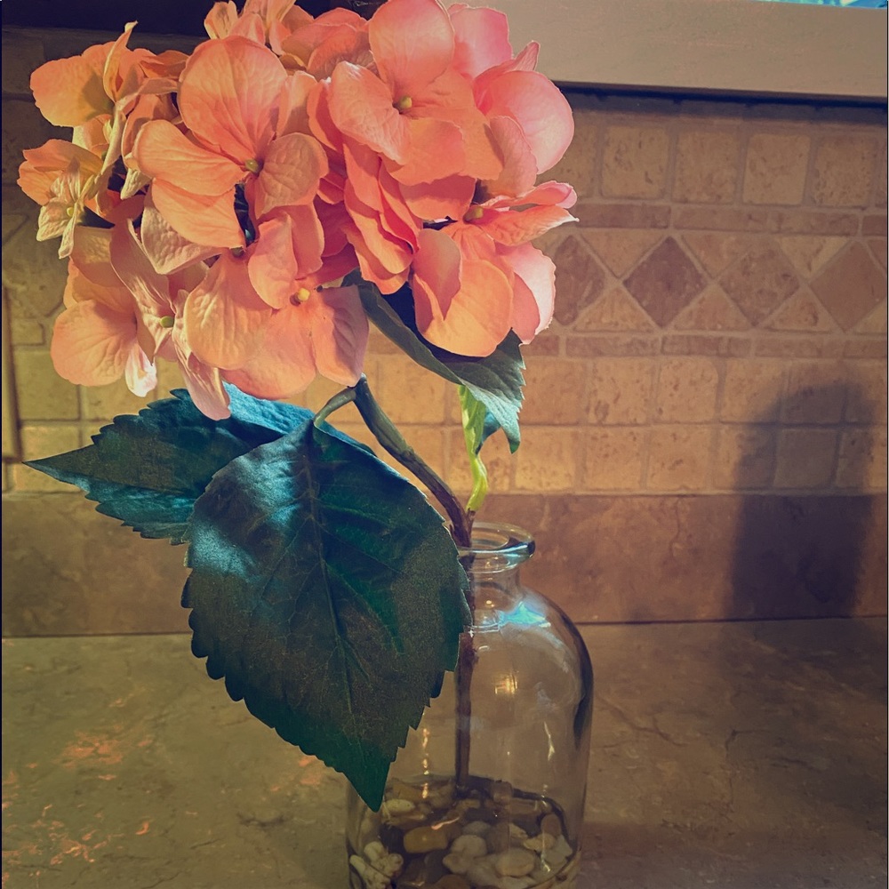 Blush Pink Hydrangea Faux Flower in “Water”